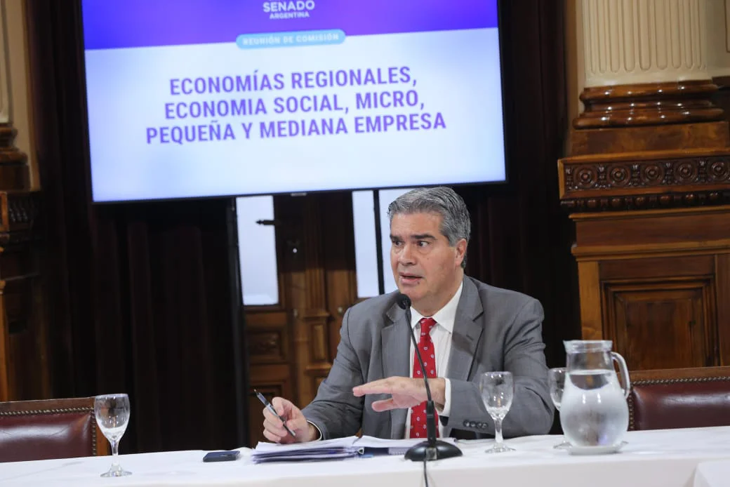 Jorge-Capitanich-presidente-de-la-comision-de-Economías-Regionales-del-Senado-26-06-03
